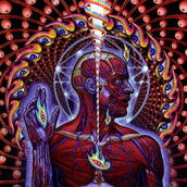 Lateralus - Tool