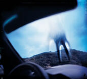 Year Zero - Nine Inch Nails